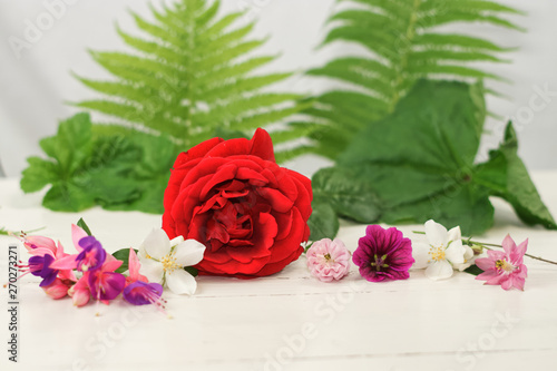Rose Blüten mit Farn auf weißem Hintergrund
