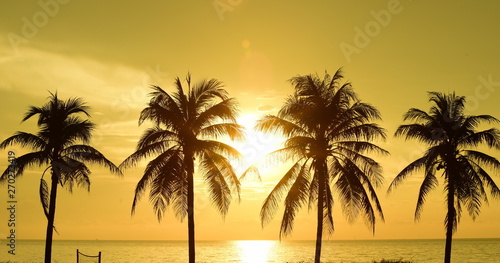 The sun is rising and the golden yellow sky and coconut trees at the beach by the sea in the early morning