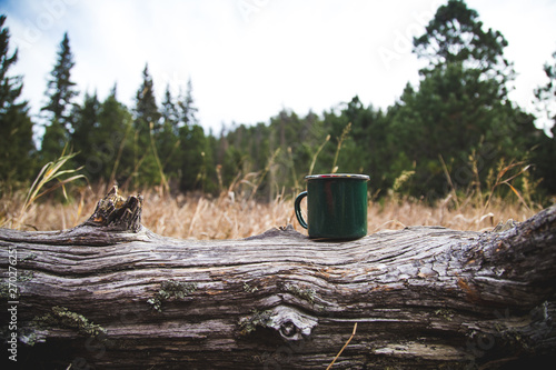 Coffee in nature