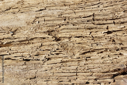 sand soil dirt texture background crack faults