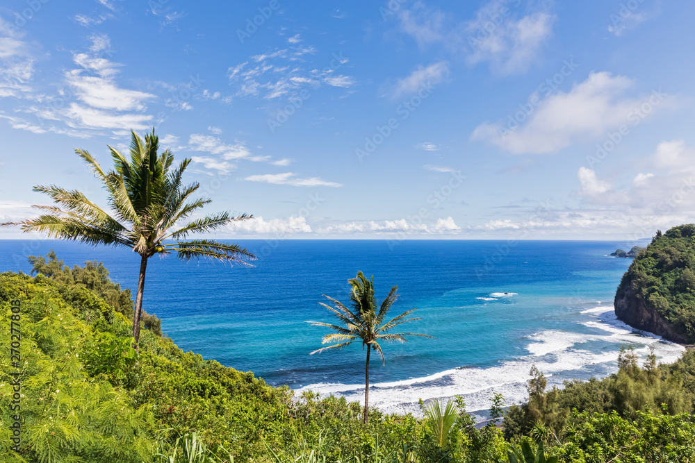 USA, Hawaii, Big Island, Pacific Ocean, Pololu Valley Lookout USA, Hawaii, Big Island, Pacific Ocean, Pololu Valley Lookout
