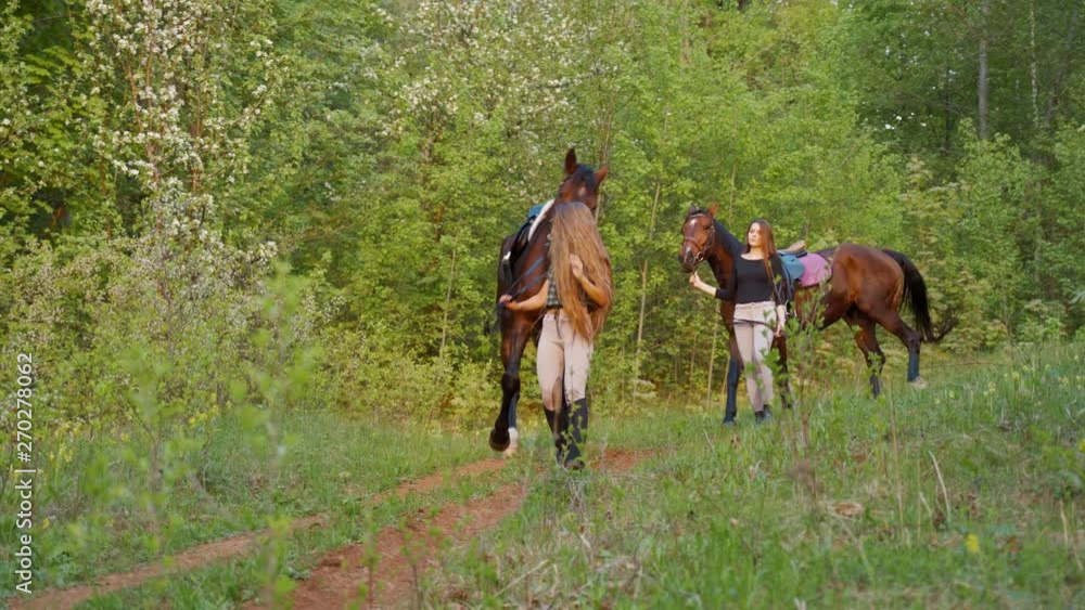 Girls with horses go on the road in the woods.