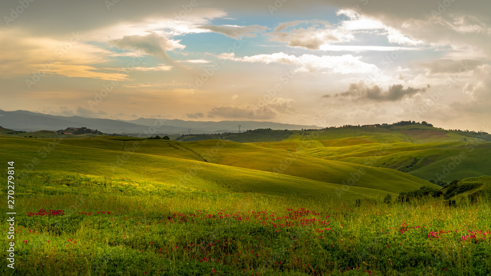 Obraz premium Tuscany landscape rolling hills on a sunny day