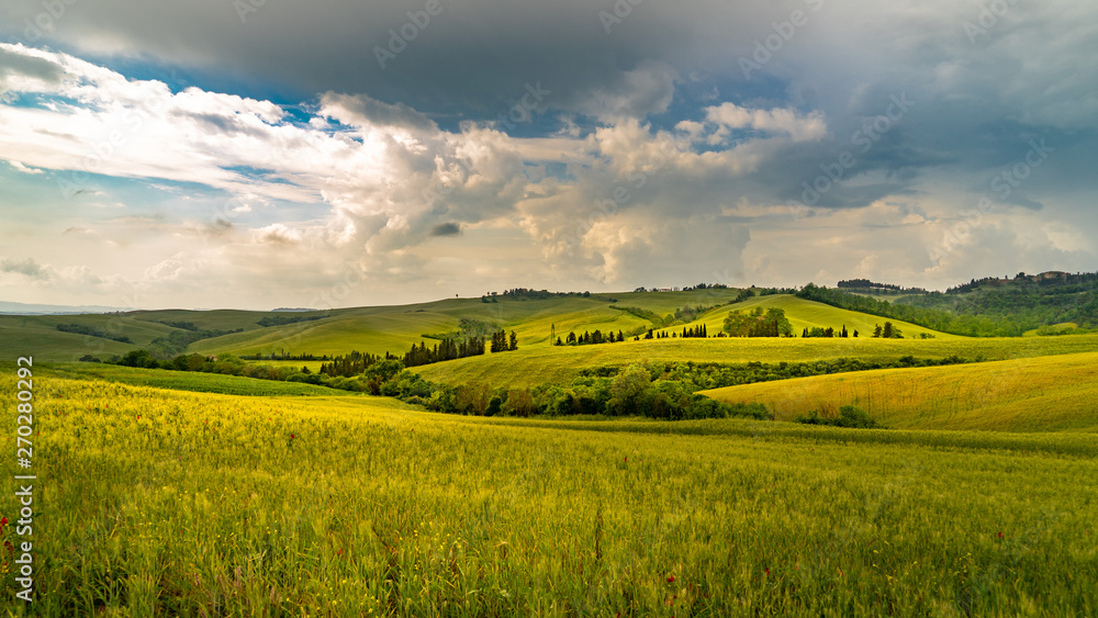 Tuscany landscape rolling hills on a sunny day