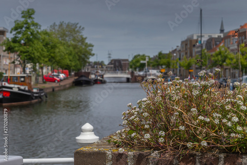 27 May 2019  Leiden  Netherlands  Panoramic view of port in the center of Leiden © zivko.trikic