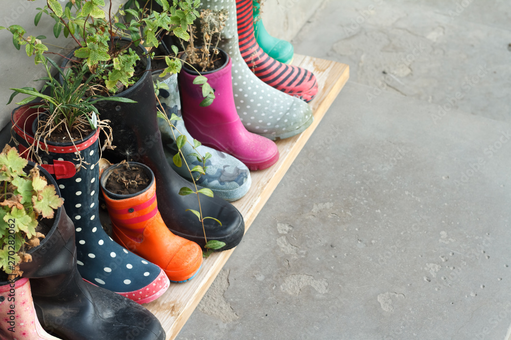 Multi colored rubber boots as flower pots with different blooming flowers on the veranda Stock Photo Adobe Stock