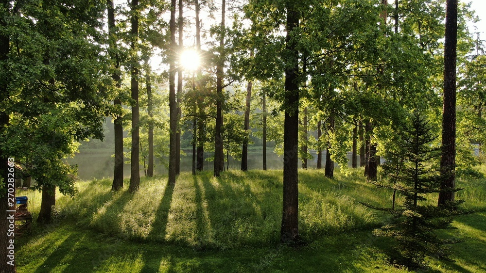 Fototapeta premium default