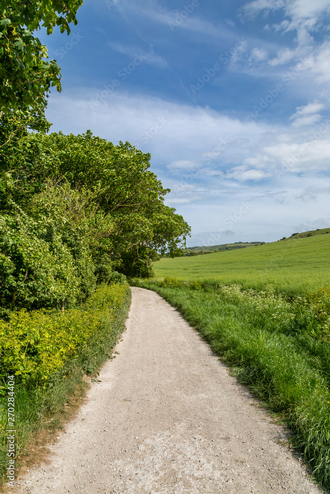 A pathway in the South Downs in Sussex, on a sunny late spring day