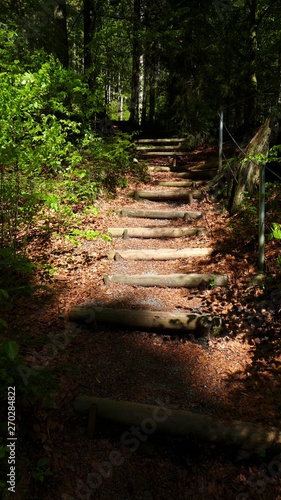 Treppe am Rütte Wasserfall photo