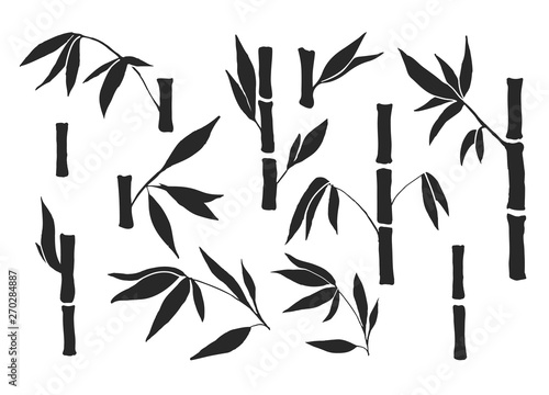 Drawing bamboo parts and section of branches and leaves isolated on the white background. Bamboo plant silhouettes and shapes for design. © Marsasha Art