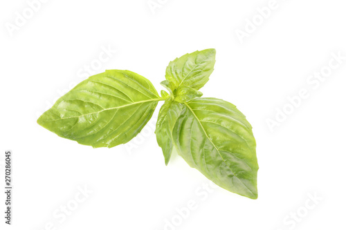 Green leaves of basil isolated on white background, closeup