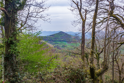 Bertiz Forest, Navarra, Spain photo