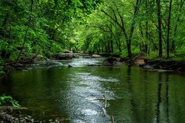 Keuken achterwand Bosrivier Broad River bij Chimney Rock  © Richard