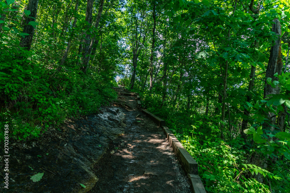 Much of the beauty you will see from hiking your way up to the top of Chimney rock and beyond it. Much of the beauty you will see from hiking your way up to the top of Chimney rock and beyond it.