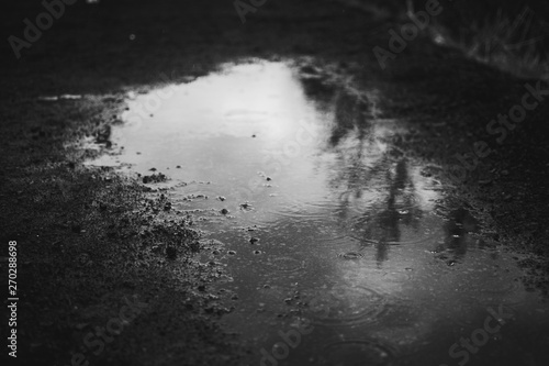 Fototapeta Tiny raindrops on a transparent water of a puddle and Icelandic black sand