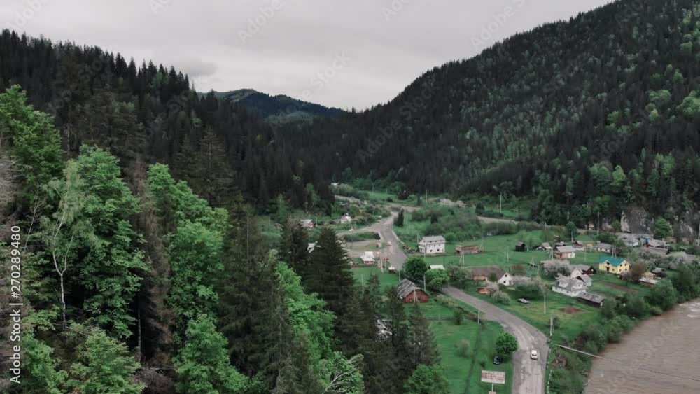 moving forward to pine woods forest and mountain valley in summer day moving forward to pine woods forest and mountain valley in summer day