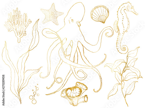 Golden sketch set with underwater wildlife. Hand painted octopus  seahorse  laminaria  starfish and shell isolated on white background. Aquatic line art illustration for design  print or background.