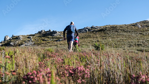 Trail runners during a race on a mountain with pink flowers in the foreground