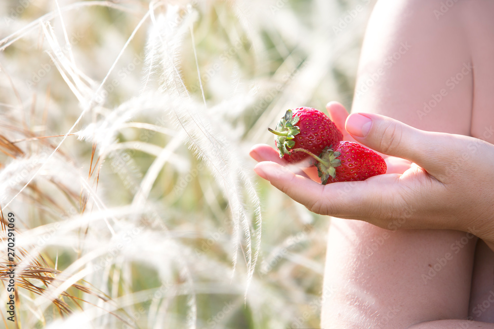 Obraz premium young beautiful woman with strawberry on the background of wild nature