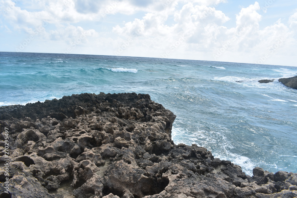 Island Shore Island Shore