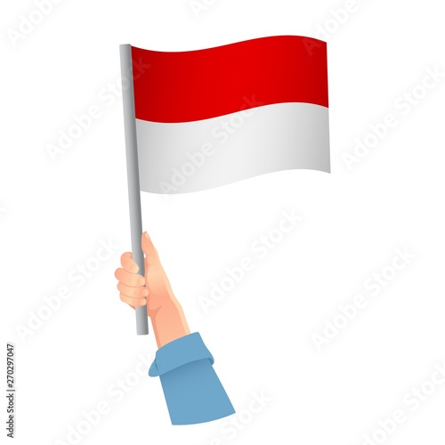 Monaco flag in hand icon