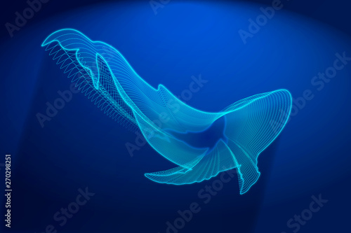 Ballena Puntos