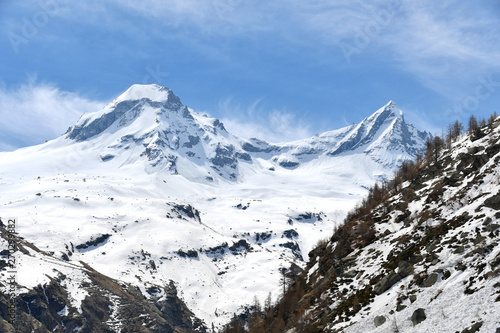 Panorama sul gruppo del Gran Paradiso  visto dalla Valsavaranche