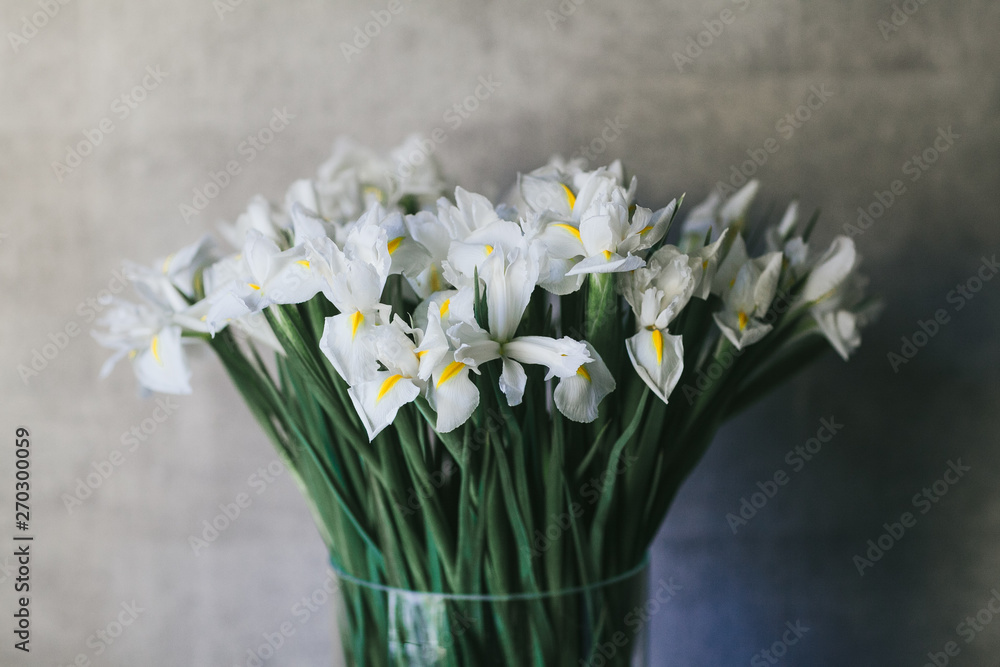 A bouquet of large white irises close up