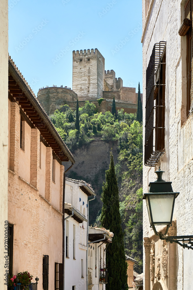 Fototapeta premium view of castle Alhambra from a street of Granada