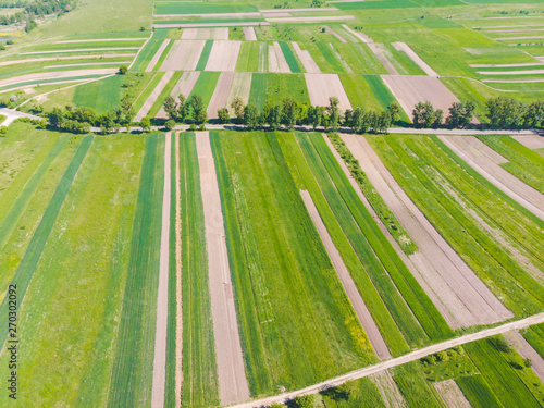 aerial view of farming fields