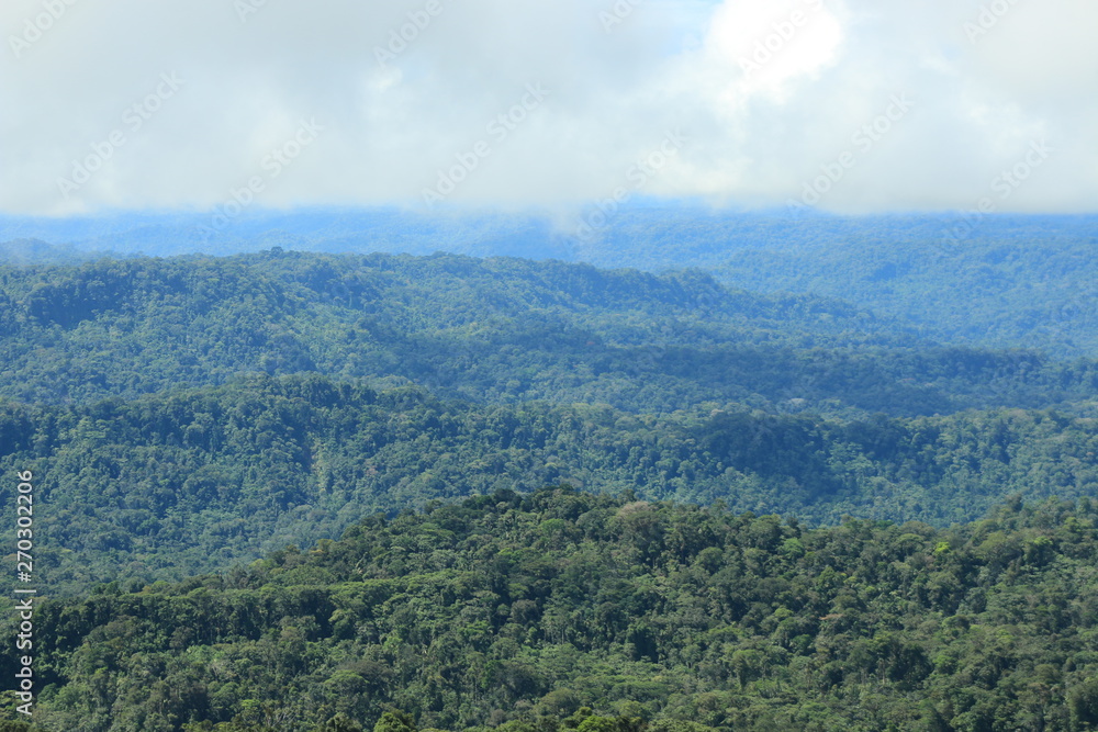 View of tropical rainforest and clouds moving in