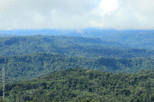 Fototapeta Naklejka Na Ścianę i Meble -  View of tropical rainforest and clouds moving in