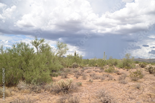 Arizona monsoon season © paul