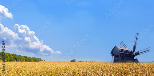 Old windmill. Panorama of Agriculture Wheat crop field summer landscape