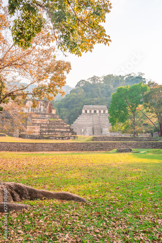 The ancient pyramids of Palenque, a Mayan Archaeological Site in Chiapas, Mexico
