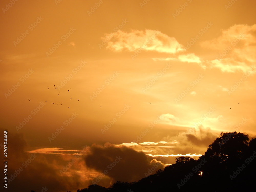sunset in the mountains with birds 