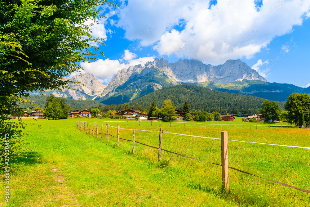Green pasture for horses in Going am Wilden Kaiser village on beautiful sunny summer day, Tirol, Austria