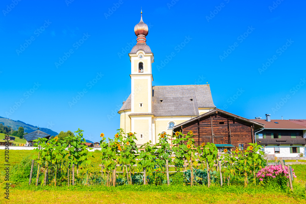 Sunflowers on green field and church in Going am Wilden Kaiser village on beautiful sunny summer day, Tirol, Austria