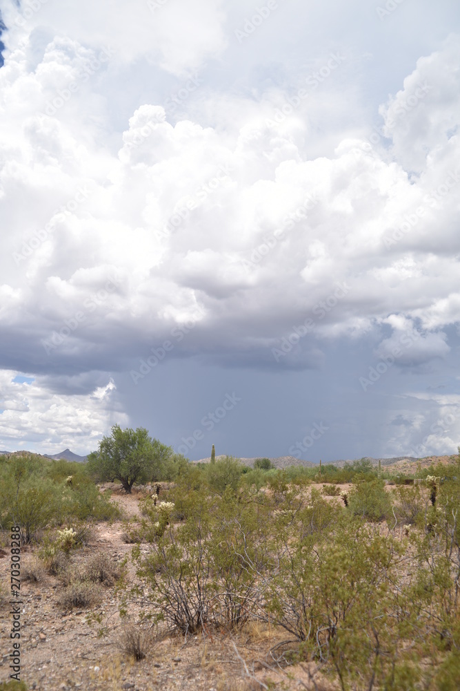 Arizona monsoon season