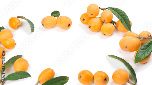  Loquat with green leaves