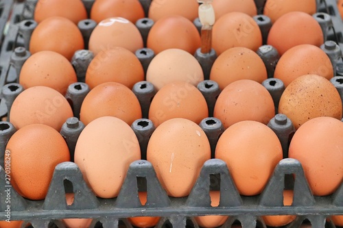 Hen egg in the market