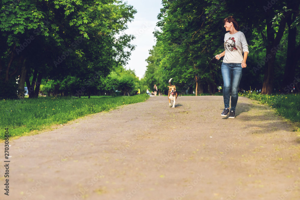 Obraz premium Girl running with her cute female beagle dog in the park at summer time. Lifestyle photo.