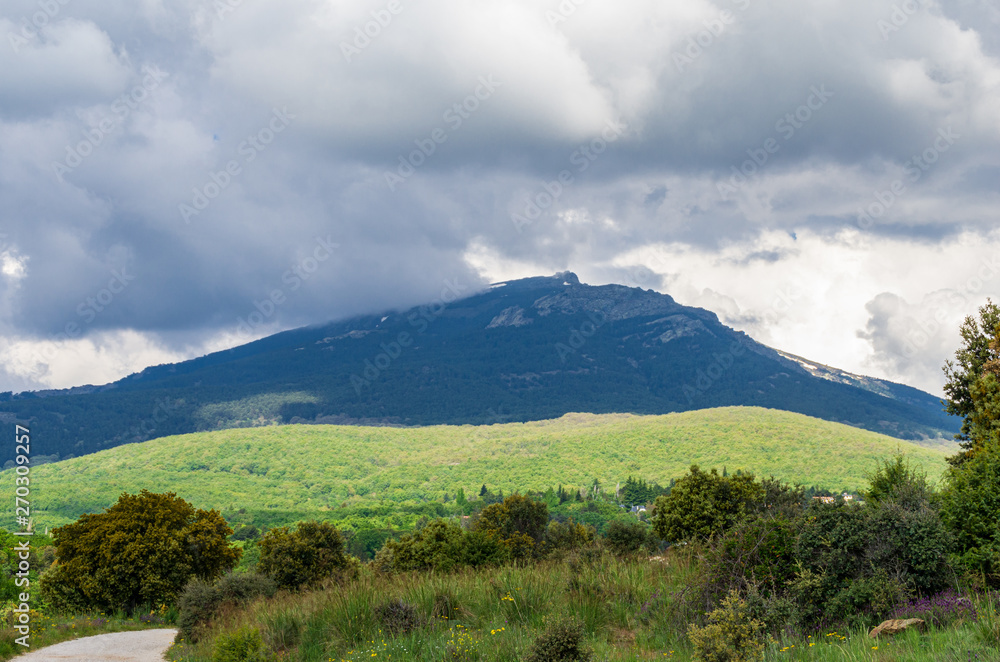 Fototapeta premium Landscape of a mountain in spring