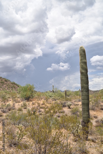 Arizona monsoon season