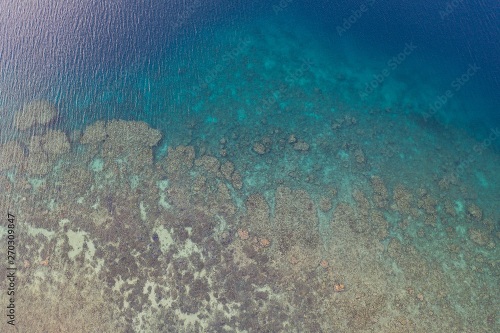 Fototapeta premium Seen from a bird's eye view, a coral reef grows along the coastline of Flores, Indonesia. This tropical area is known for its marine biodiversity as well as its volcanic activity.