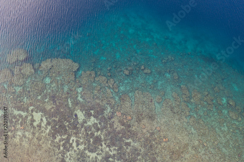 Seen from a bird's eye view, a coral reef grows along the coastline of Flores, Indonesia. This tropical area is known for its marine biodiversity as well as its volcanic activity.