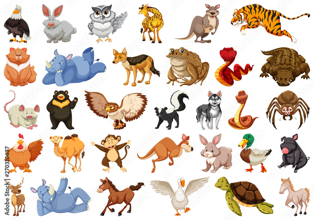 Obraz premium Set of different animals