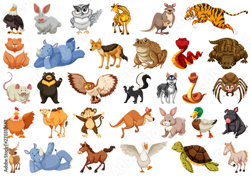 Set of different animals © blueringmedia