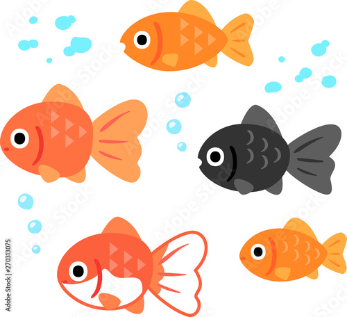 いろいろな金魚