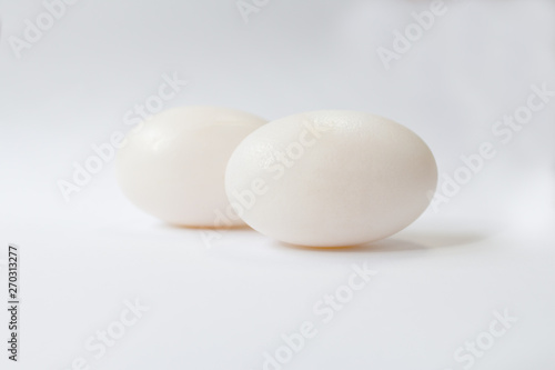The crocodile eggs with white background
